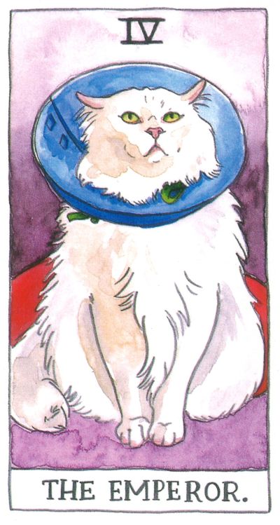 The Cat Tarot