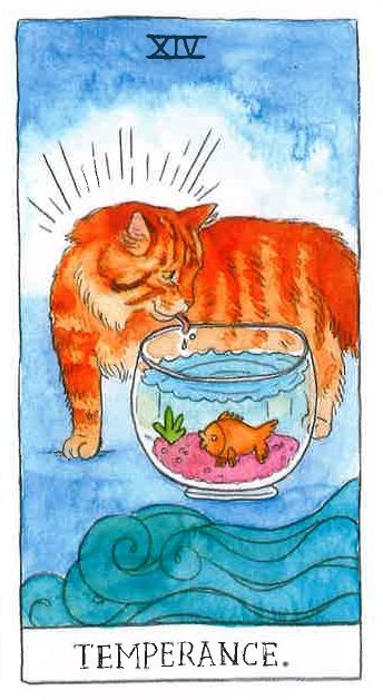 Cat Tarot