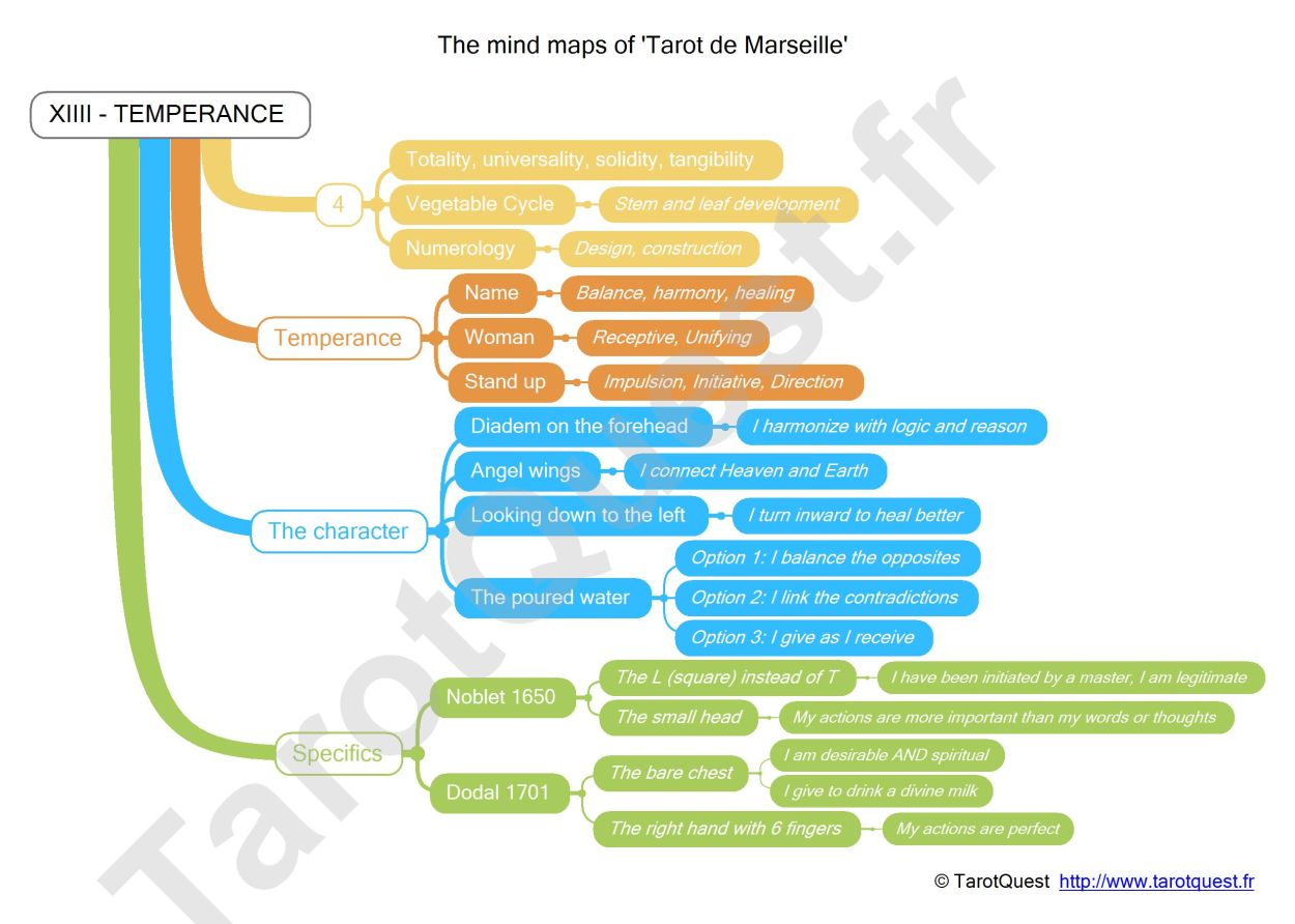The Mind Map
