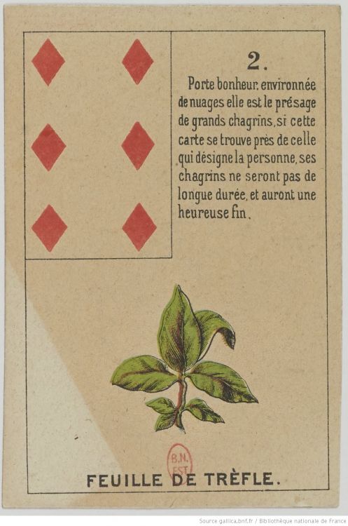 2. The Clover : Luck, Opportunity