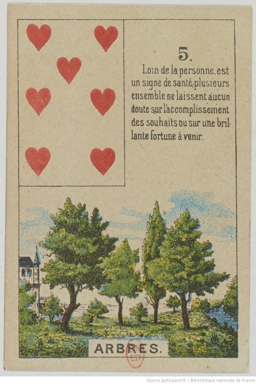 5. The Tree : Patience, Energy, Growth, Transmission