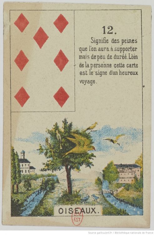 12. The Birds : Information, Communication, Negotiation