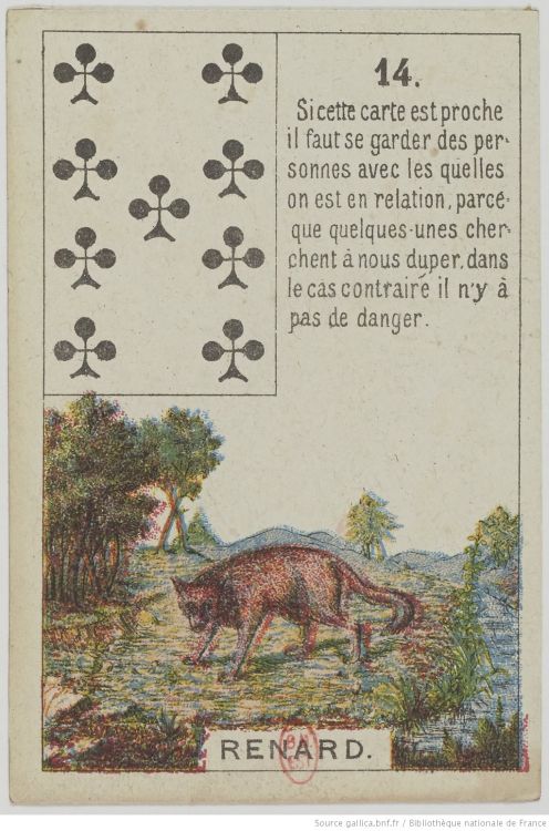 14. The Fox : Cunning, Boldness, Distrust, Caution