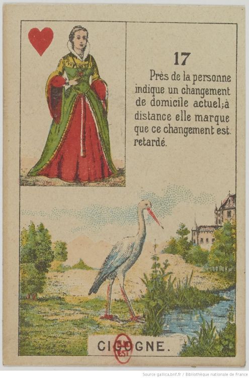 17. The Stork : Departure, Birth, Fertility, Creativity