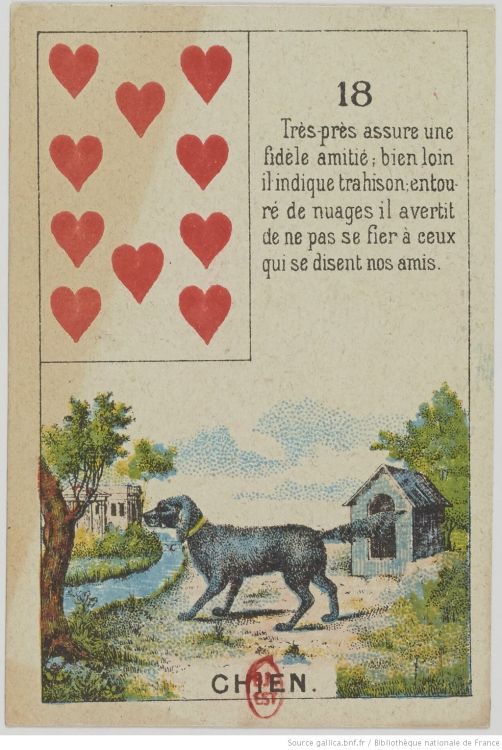 18. The Dog : Friendship, Fidelity, Loyalty, Trust