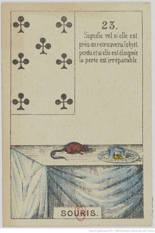 23. The Mice : Losses, Stress, Reserves, Refuge, Attention to detail