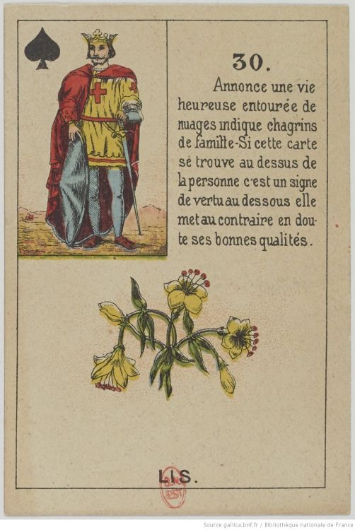 30. The Lily : Nobility, Loyalty, Purity, Fertility