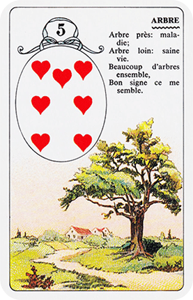 3. Sätze mit 5 Karten bilden