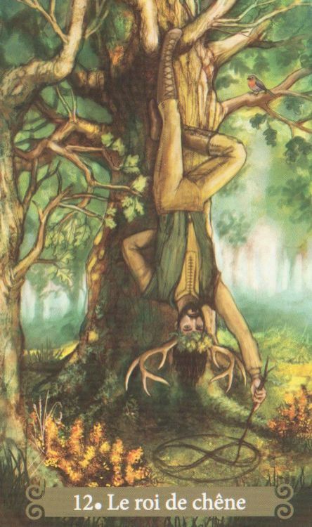 12 - Le roi de chêne