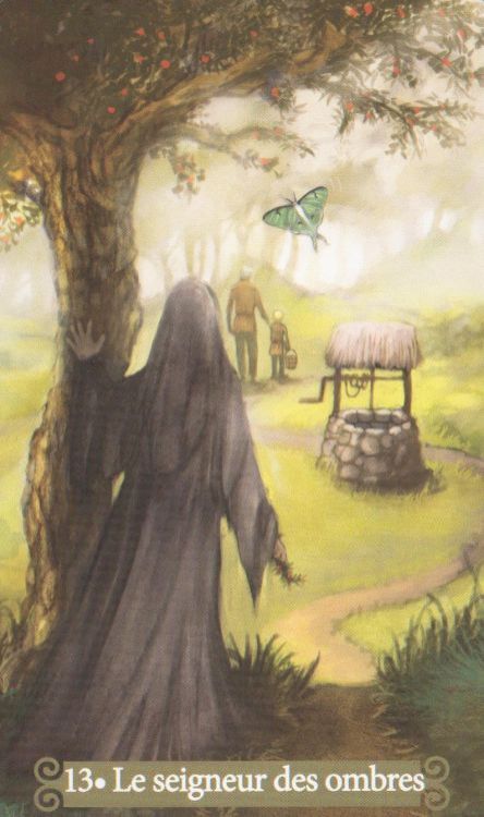 13 - Le seigneur des ombres