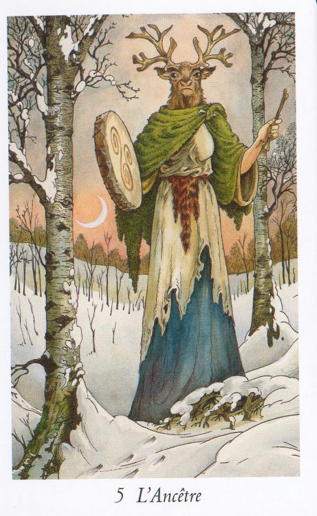 The cards I like less