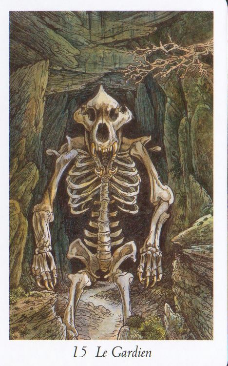 15 - The gardian et 20 - The great bear