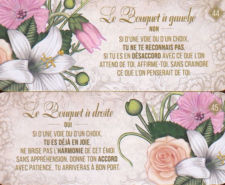 Une carte OUI et une carte NON