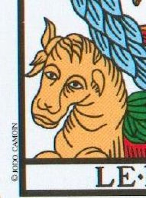 The presence of copyright