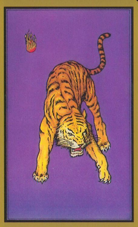 Les cartes que j'aime